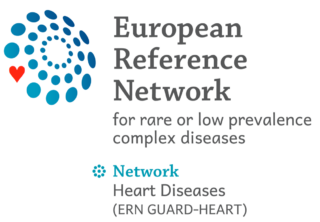 ern-gh-logo-met-heart